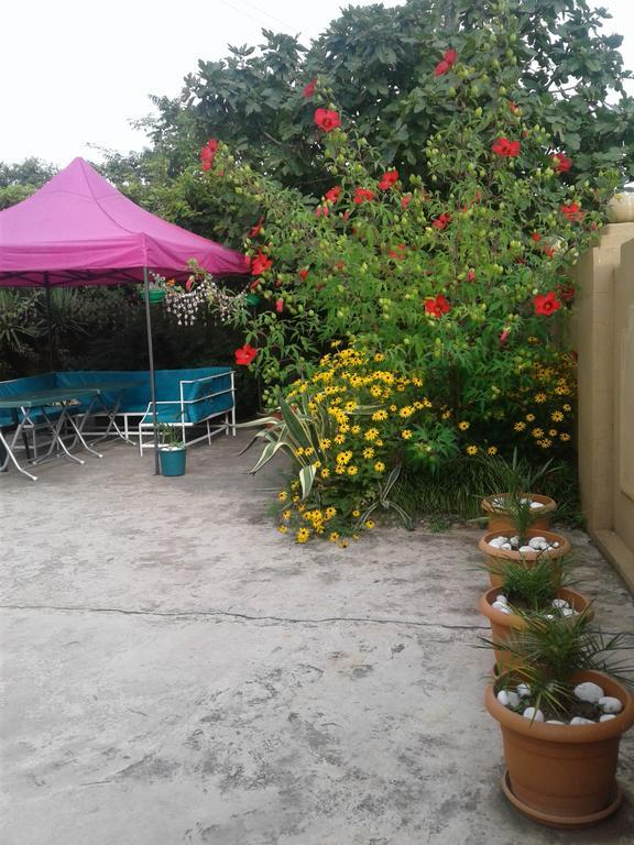Gonio Apsaros House Hotel Екстериор снимка